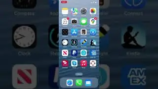 Preserver iPhone 11