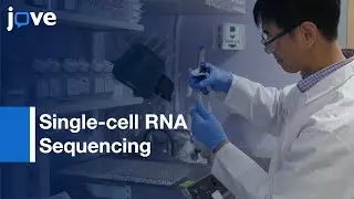 Single-cell RNA Sequencing and Analysis | Protocol Preview