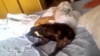 наши веселые будни