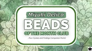 Miyuki Delica 🌵 Beads of the Month Club - Aug. '24