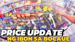 PRICE UPDATE NG MGA IBON NI KUYA KHALID