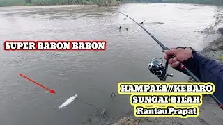 CASTING HAMPALA SUNGAI BESAR || SUNGE BILAH RANTAU PRAPAT || SENSASI BABON YANG LUAR  BIASA