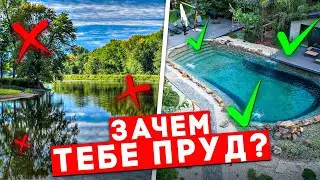 Все ПЛЮСЫ ПРУДА в одном видео | Построить пруд на участке