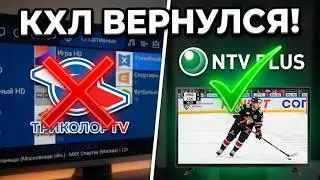 КХЛ не работает на «Триколоре», как смотреть новый сезон 2024–2025