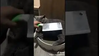 Весомый аргумент.