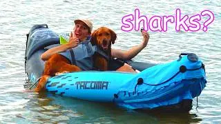 I Took My Dog Kayaking! 🚣
