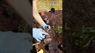 ЧТО ОНА ДЕЛАЕТ С РАСТЕНИЯМИ? ЗАБЕРИТЕ У НЕЁ СЕКАТОР 😳