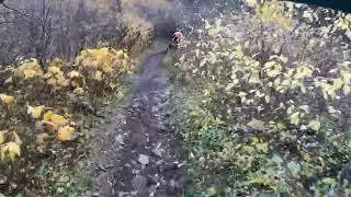 Fall Colors on Flowy Trail