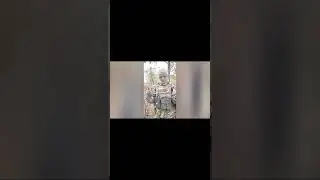 СВО Работайте Братья! ☠️☠️☠️