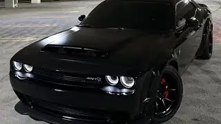 Gt😍mustang😍#mustangs #shortvideo #cars
