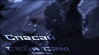 Коты воители - Спасай себя сам [Клип//Collab with Cats life TV]