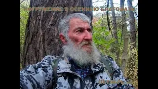 Погружение в осеннею благодать