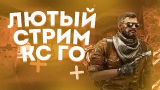 ЛАМПОВЫЙ СТРИМ КС ГО ❘ CS GO