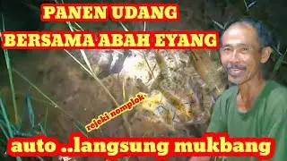 PANEN UDANG BERSAMA ABAH EYANG || Auto Langsung Mukbang