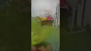 puffy ko mere pass nahi baitna hai 