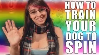How to train your dog to spin!