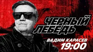 🔥"ЧЕРНЫЙ ЛЕБЕДЬ" - ТРАМП НЕИЗБЕЖЕН? ЕРМОЛАЕВ, ВИГИРИНСКИЙ, СТАРИКОВ, ДИКИЙ