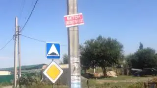ДНТ_Ягодка