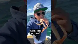 Какой краб вкуснее?