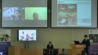 Борисенко Илья Евгеньевич