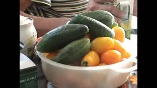 ГРИБНИКИ