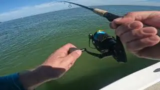Valhallasent17 Snook snatchin pt2
