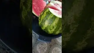 #Київська область ,домашній кавун, дуже солодкий, 10.4 кг