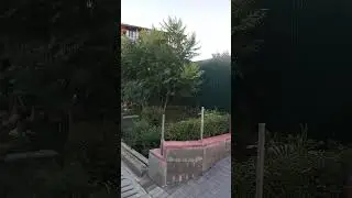 Воронеж, улица Достоевского, клумбы🌼
