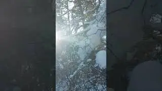 лес, солнце и хруст снега (песня)