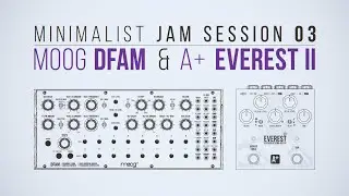 Moog DFAM & A+ by Shift Line Everest II | Minimalist Jam Session 03