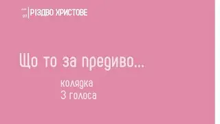 🎵🎶Що то за предиво...колядка на 3 голоси 🎶🎵
