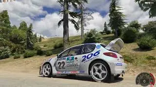 Grand Theft Auto V Peugeot 206 WRC