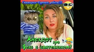 Анекдот про секс с сантехником. 