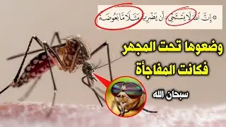 لماذا ضرب الله مثلا بالبعوضة للكفار في القرآن ؟ لماذا ارتجف العلماء عندما وضعوها تحت المجهر ! معجزة