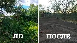 Земельный участок. Расчистка