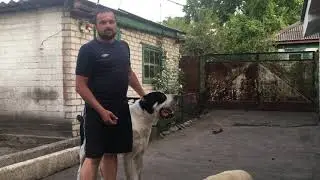 Жара невыносимая))