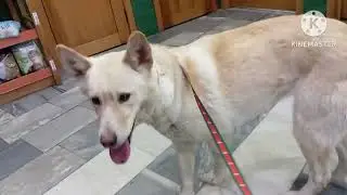неожиданности