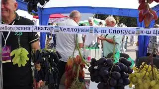 СТЕНД ШЕВЧЕНКО ВАЛЕРЫ И ЗУБАЛЕВИЧА ГЕННАДИЯ