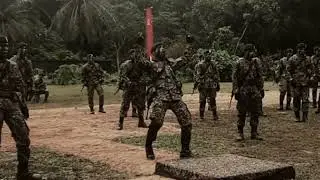 WAR DANCE PLATUN 1 KRK 2 (2022)