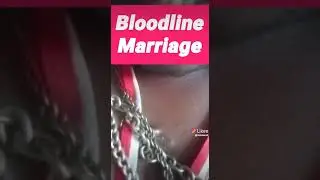 bloodline marriage