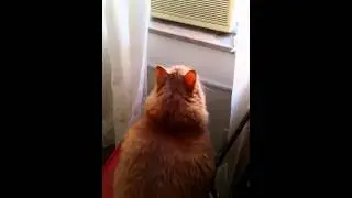 Homer Hulking out