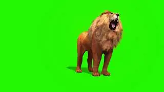 Green screen share
