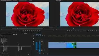 Adobe Premiere - Add transition effects