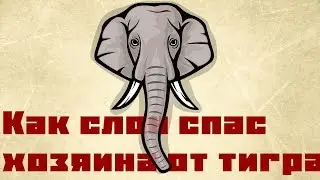 How the elephant saved the owner from the tiger