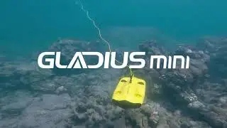 Chasing Gladius Mini / Подводный дрон