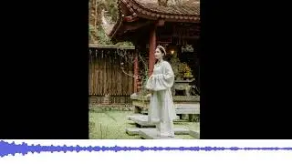 Zen Garden