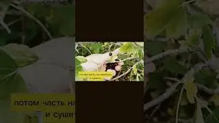 #семейныйканал #отдых #отпуск