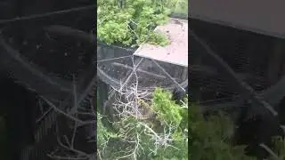 Ski lift at Cheyenne zoo part three￼