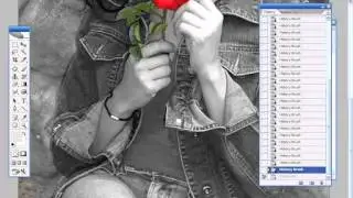 photoshop tutorial in tamil History Brush tool - training DVD full free video template