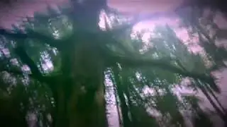 самый страшный лес планеты, 21+
